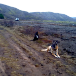 img-coll-1575