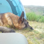 2008-08agust-022