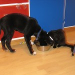 2008-09sep-034