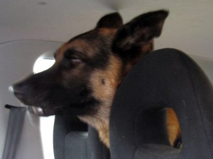 img-coll-1042