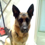 img-coll-1046