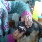 img-coll-0752