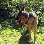 img-coll-1043