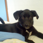 2008-09sep-002